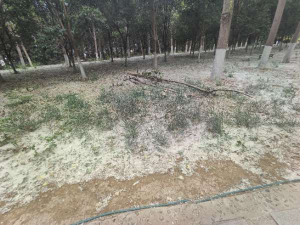 IMG_20250428_120347.jpg