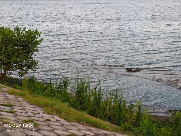 IMG_20250725_184205.jpg