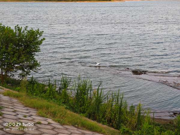 IMG_20250725_184211.jpg