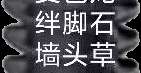 Image_19034033478206.png