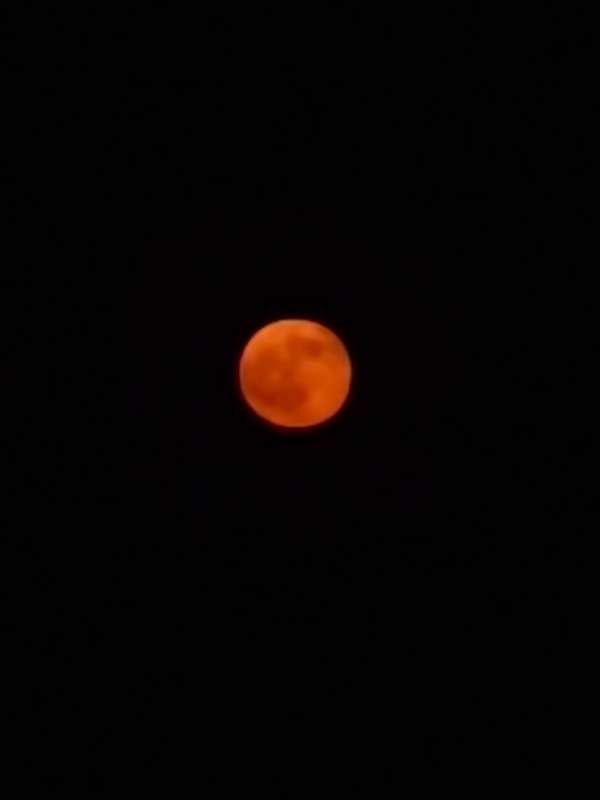 IMG_20250908_195730.jpg
