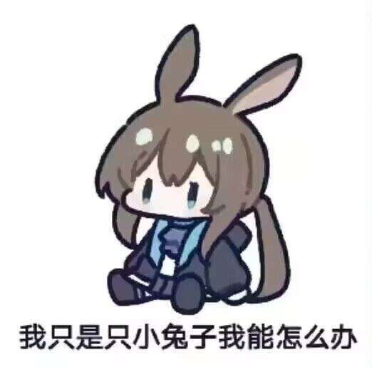 1787048471035.jpeg