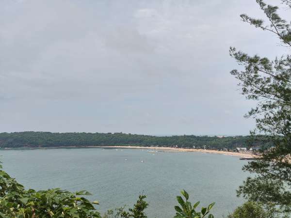 IMG_20260828_110659.jpg